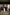 We Raced the Night - 2026 Viola Private Wealth Sydney 300 Recap
